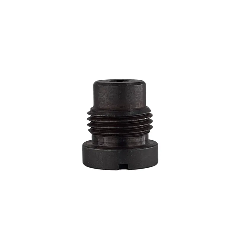 WDK-21445-09 Заглушка клапана - 1