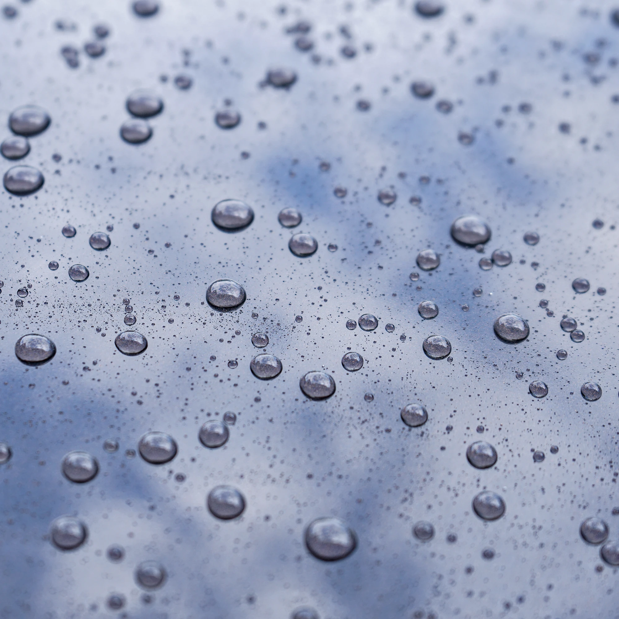 servFaces Hydro Ceramic Shampoo - Ручной шампунь с защитным эффектом, 1 л - 2